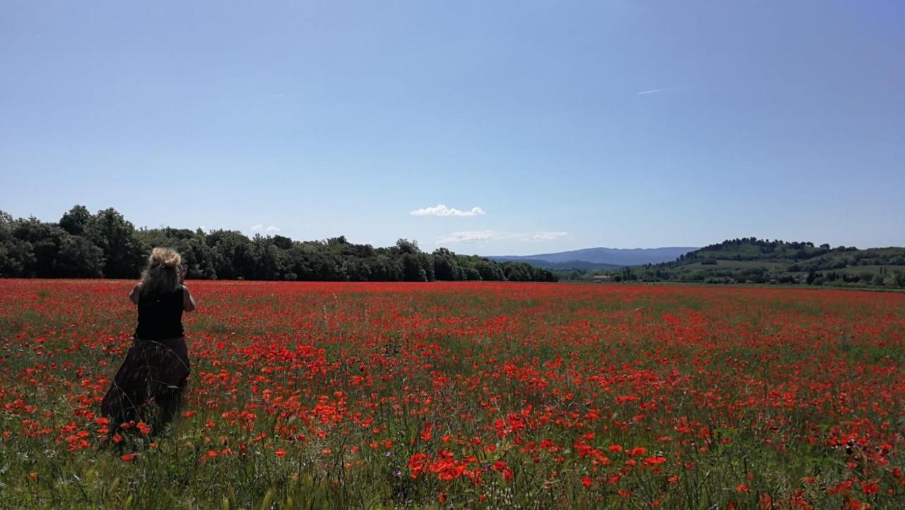Sous Les Chenes Villa Peypin-d'Aigues Kültér fotó