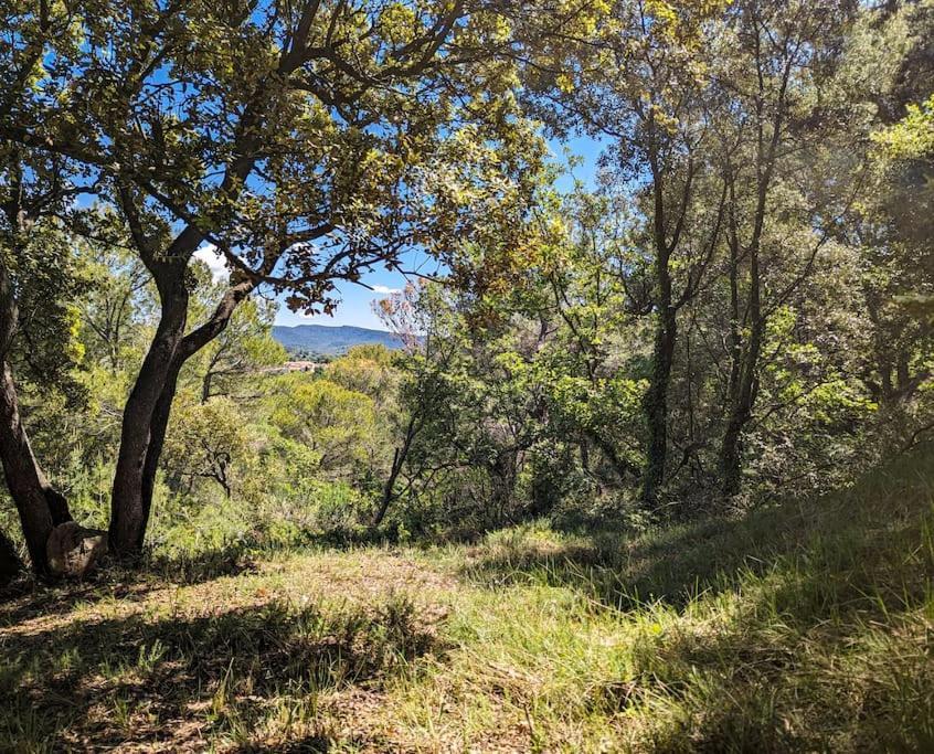 Sous Les Chenes Villa Peypin-d'Aigues Kültér fotó